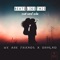 Beats Like This (feat. Sachi Holla) - We Are Friends & DRMLND lyrics