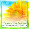 Healing Meditation: The Secret to Instant Calm album lyrics, reviews, download