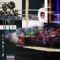 Audio Dope (feat. Drastiq) - Jackie Spade lyrics