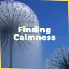 Finding Calmness: Anti-Stress Relaxing Music, Meditation, Relaxation & Spa album lyrics, reviews, download