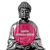 Espírito de Buddha Chillout: Batidas Quentes para Relaxar e Festa, Melhor Música de Bar Lounge, Ibiza Buda Grooves album lyrics, reviews, download