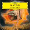 Concerto for Harpsichord and Orchestra in D Major, Hob.XVIII:11: 1. Vivace song lyrics