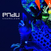 Chameleon (LDRU Remix) artwork