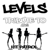 Levels (Tribute to Avicii) artwork