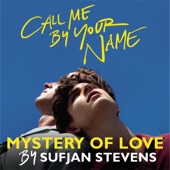 Mystery of Love (From "Call Me By Your Name") artwork