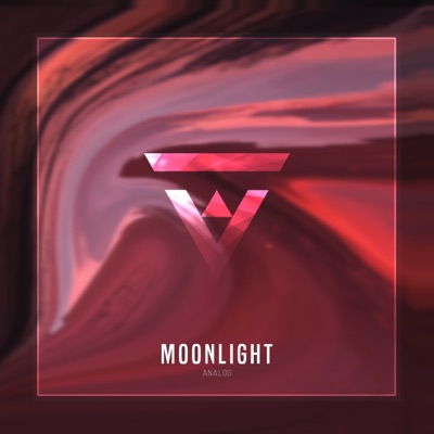 Moonlight - ANALOG | Shazam