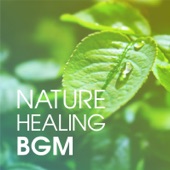 Nature Healing BGM -Soothing Relaxing Music - artwork