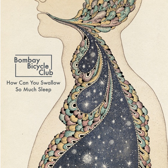 Cover artwork for How Can You Swallow So Much Sleep