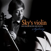Sky's Violin, Vol. 6 artwork