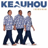 Ka Ua Noe o Kōloa artwork