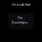 I'm a Lab Rat - The Scavengers lyrics