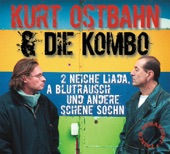 2 neiche Liada, a Blutrausch und andere schene Sochn - 1995 bis 2005 (Remastered)