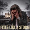 Feels Like a Storm - Single