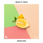 Never Over (feat. Michi) artwork
