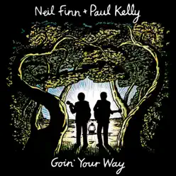 Goin' Your Way (Live) - Neil Finn