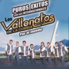 Puros Éxitos con los Internacionales. Vallenatos de la Cumbia por el Mundo