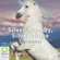 Elyne Mitchell - Silver Brumby, Silver Dingo: Silver Brumby, Book 8 (Unabridged)