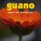 The Universal Language - Guano lyrics