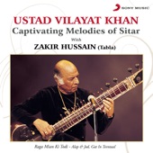 Captivating Melodies of Sitar artwork