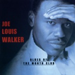 Joe Louis Walker - Bluesifyin'