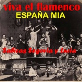 Viva el Flamenco España Mia artwork