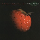 Strawbs - I Only Want My Love to Grow In You