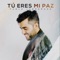 Para Amarte (feat. Lupo Vidal) - Pablo Larrañaga lyrics