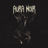 Aura Noire