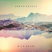 Wild Heart artwork