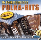 Stefan Wachtberg - Herz Schmerz Polka