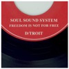 Soul Sound System / Freedom is Not for Free - Single