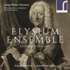 Georg Philipp Telemann: Melodious Canons & Fantasias