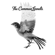EUROPESE OMROEP | MUSIC | The Common Linnets - The Common Linnets