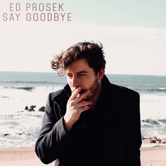 Cover artwork for Say Goodbye