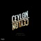 Serendipity (feat. Katie Addy) - Ceylon Ceylon lyrics