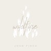 Wildfire