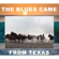 The Blues Came From Texas - Various Artists