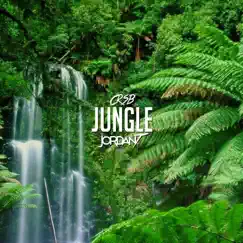 Jungle (feat. Jordan T) - Single by CRSB album reviews, ratings, credits