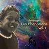 Luv Phenomena, Vol. 1