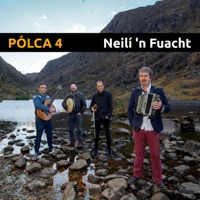 Neilí 'n Fuacht - Single by Pólca 4 on Apple Music