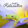 Fast Relaxation: Easy Way to Calm Down and Reduce Stress, Sounds Therapy for Inner Peace, Serenity and Calmness album lyrics, reviews, download