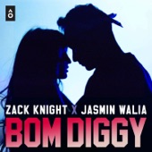 Bom Diggy artwork