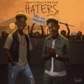 Haters artwork