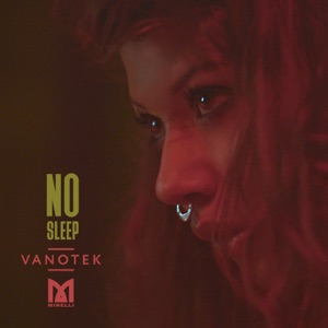 Vanotek - No Sleep (feat. Minelli) - 排舞 音樂