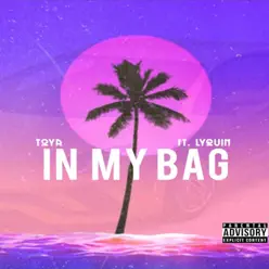 In My Bag (feat. Lyquin) - Single - Toya In My Bag (feat. Lyquin) - Single - Toya
