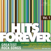 Hits Forever: Greatest Rock Songs, Vol. 1 artwork