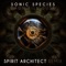 Dawn Till Dusk (Spirit Architect Remix) - Sonic Species lyrics