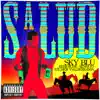 Salud (feat. Reek Rude, Sensato & Wilmer Valderrama) - Single album lyrics, reviews, download