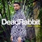 Mad Vibes (feat. Kelvyn Colt) - Dead Rabbit lyrics