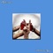 Off the Soul (feat. Dane Large) - Carter James lyrics